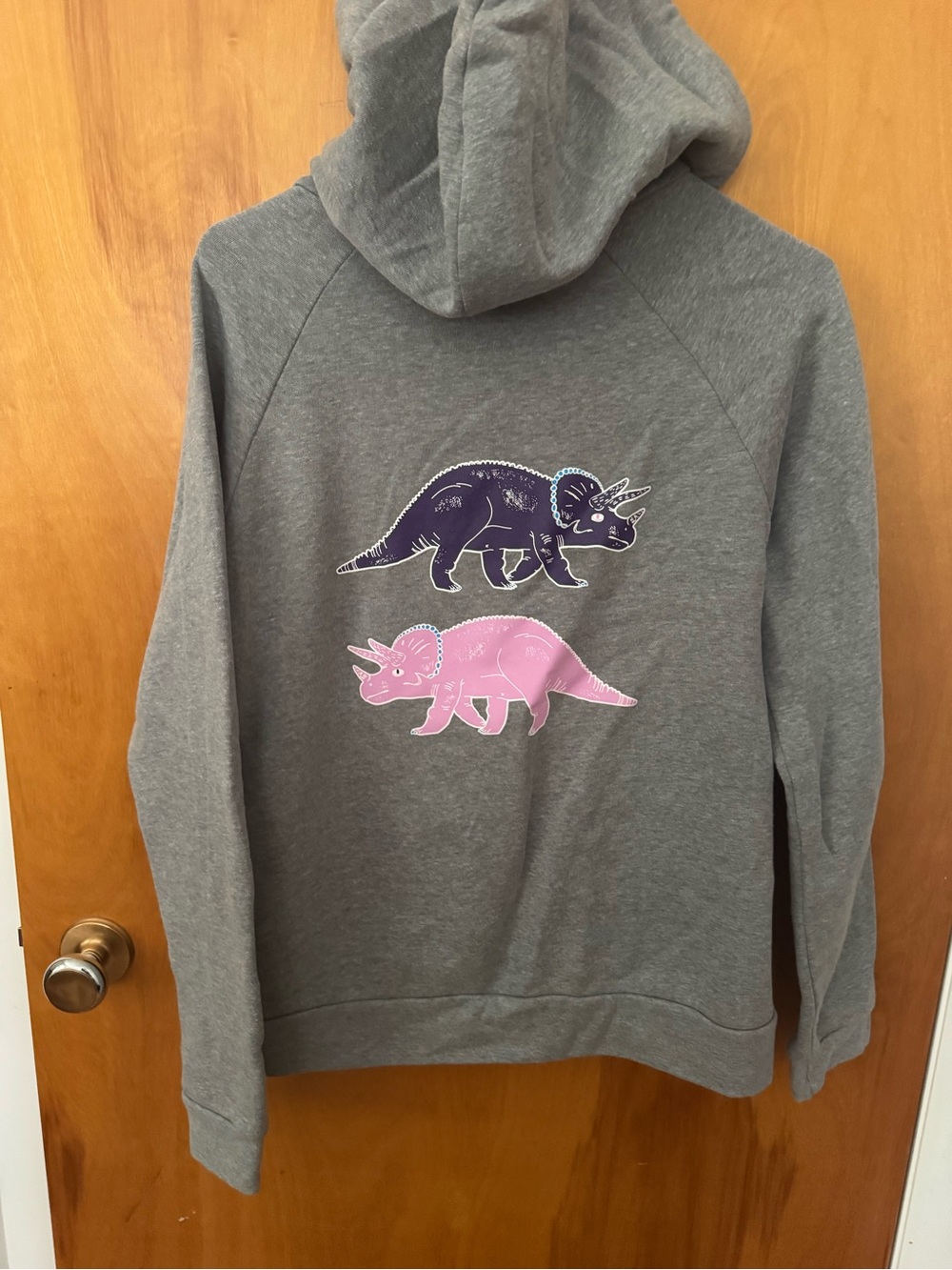 Gray Hoodie with Pink & Purple Triceratops